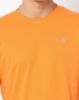 Image de T shirt col rond unité -  4 XL MANGUE