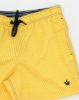 Image de Maillot Homme rayé pack de 15p ( 8,00 €/pièce ) -  Pack JAUNE