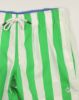 Image de Maillot Homme larges rayures pack de 15p ( 8,00 €/pièce ) -  Pack VERT