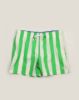 Image de Maillot Homme larges rayures pack de 15p ( 8,00 €/pièce ) -  Pack VERT