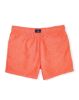 Image de Maillot Homme imprimé caraïbes pack de 15p ( 9,00 €/pièce ) -  Pack CORAIL